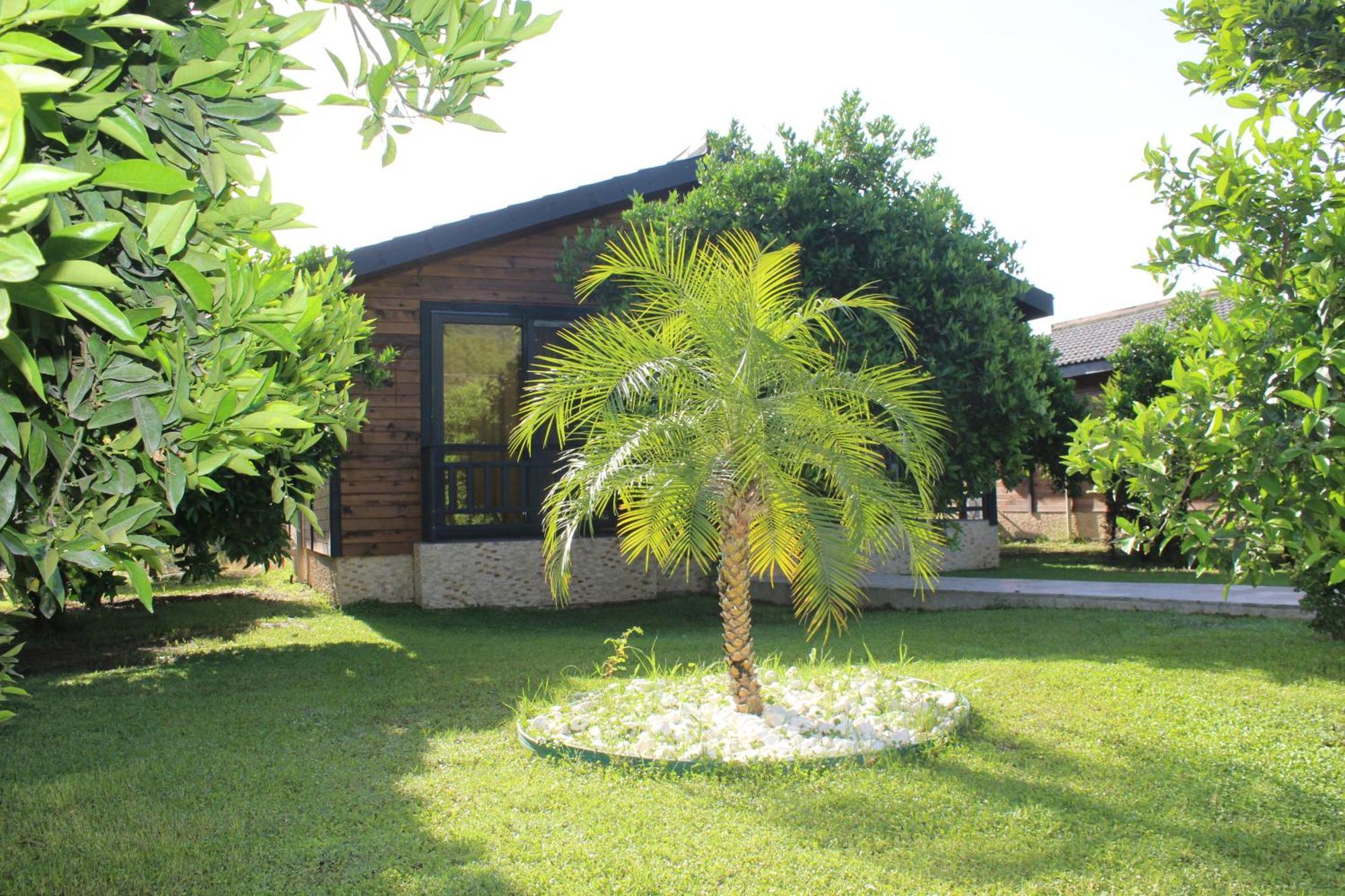Cirali Villa'S Kemer Exterior foto